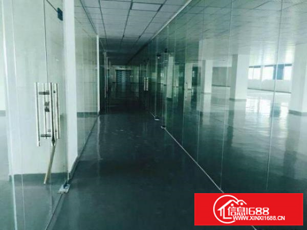 大浪新百丽港深创新园新出三楼500平带精装修适合电商贸易