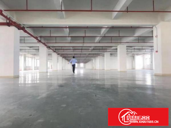 形象好，大货梯，可办环评，厂房出租，勒流2000方