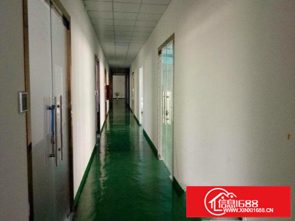 《靓》仲恺独院厂房2700平米招租