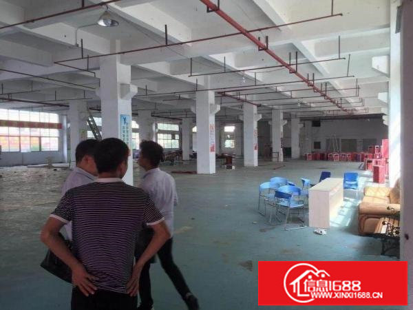 公明玉律新出标准一楼2200平米出租带装修