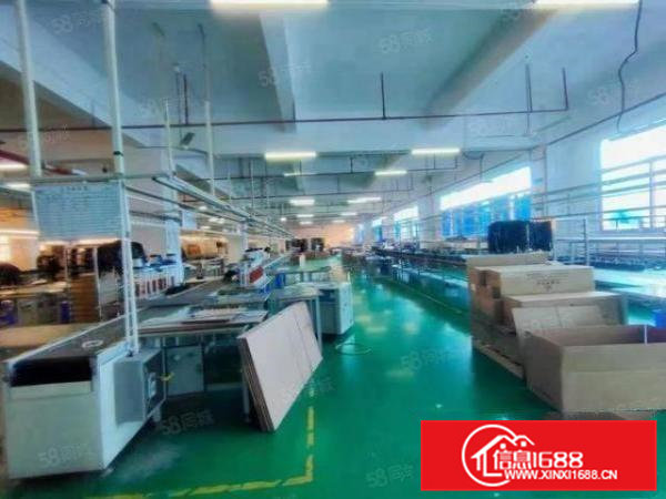 大岭山原房东带红本独院6000平方标准厂房出租