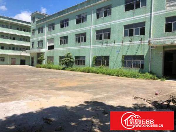 坪山石井路口新出原房东独院9650平方厂房实际面积出租