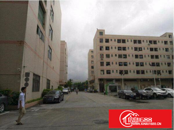 坂田天虹独门独院4800平厂房出租