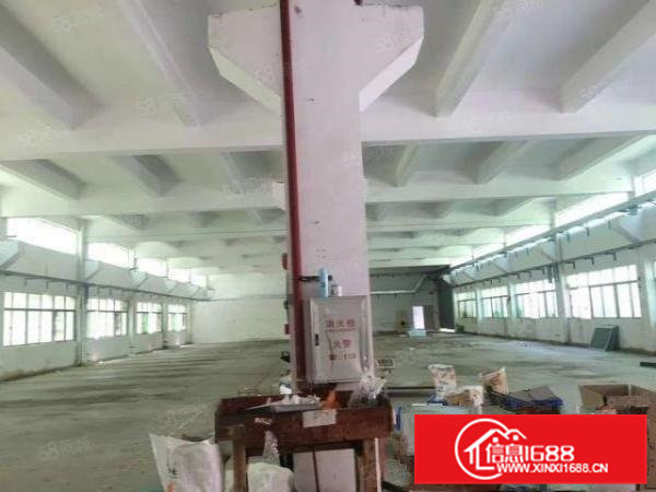 大岭山原房东新出独院6800平带豪华装修园区空地大