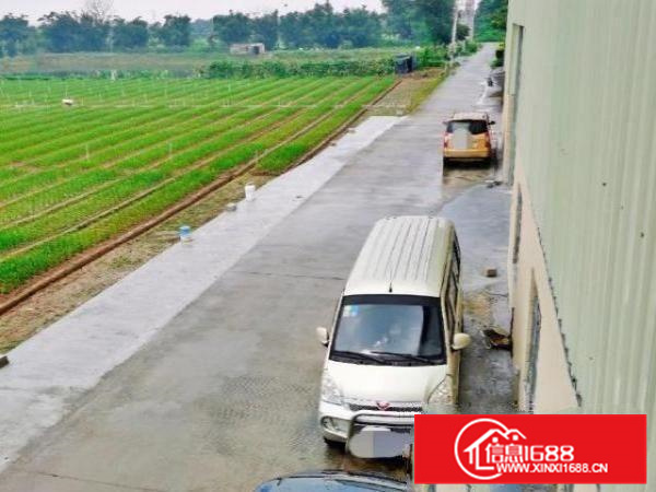 全新厂房出租，方正实用，环境优美！