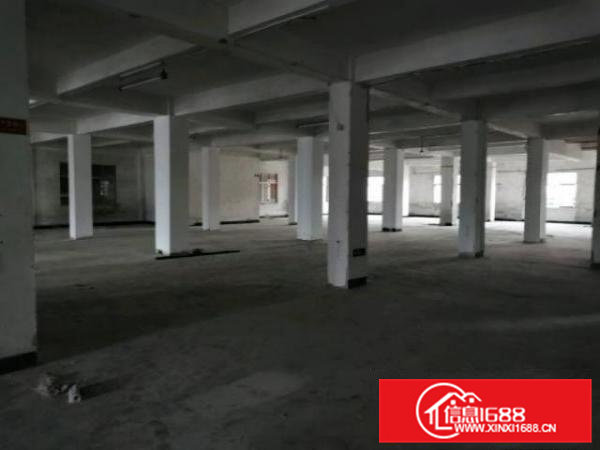 五层工业大夏，适合非污染工厂、仓库、写字楼、旺铺