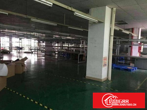 横沥新出原房东标准厂房带消防喷淋豪华装修工业用地14000平