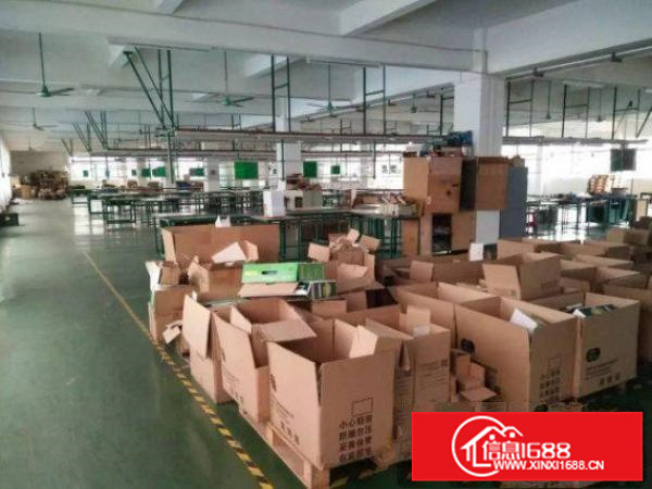 大亚湾西区独院厂房楼上1400平方，有电梯