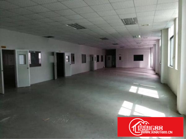 企石新出原房东标准3层小独院3500平方米