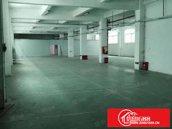 平湖华南城1000平小独院厂房