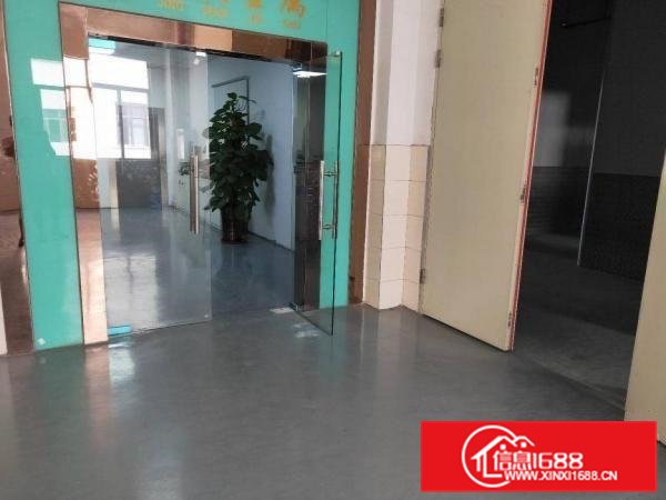 大朗洋乌原房东一楼厂房480平出租，有装修，租金优惠