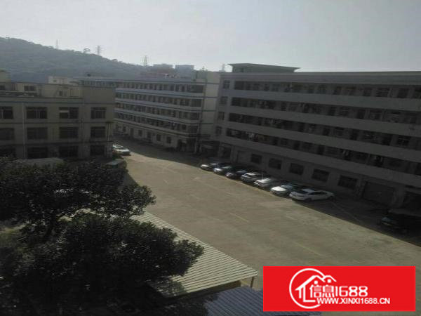 平湖辅城坳工业区厂房，仓库一楼600平米急租