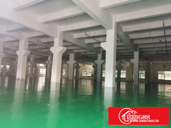 万江新出原房东独门独院楼房厂房出租