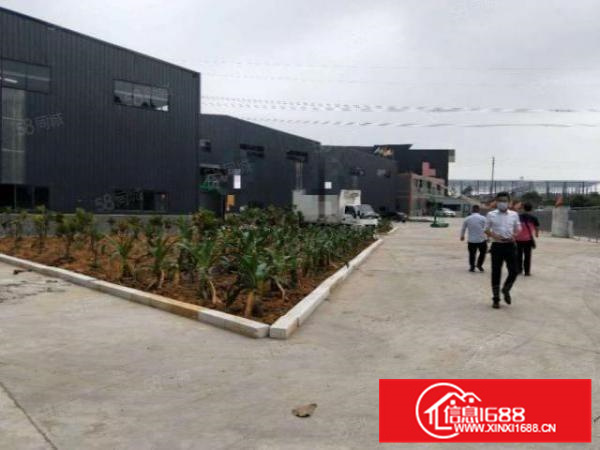 里水独院单一层厂房，5000平方现成办公装修3000大空地