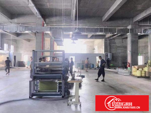 一企一证印花洗水化工表面处理厂房出租