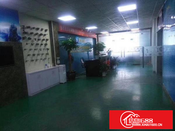出租龙岗区龙岗中心城南联地铁口带装修厂房1680平出租