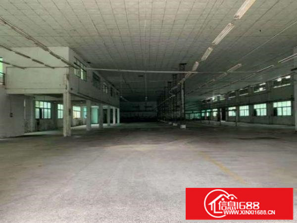 大浪独院钢构厂房4800平配有宿舍1300平