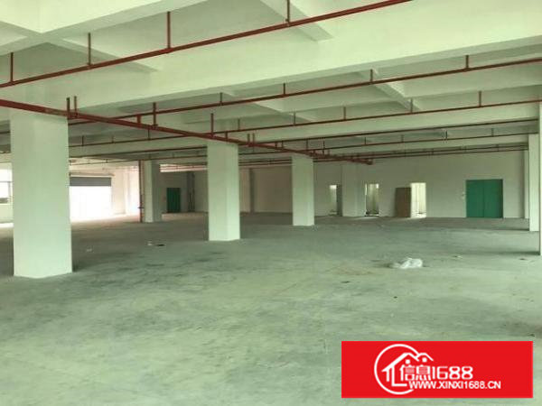 塘夏平山，全新2050平方标准厂房，可整租可分租，租14块