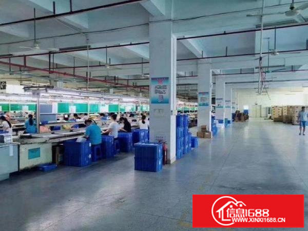 平湖观澜公明东莞凤岗厂房13500平米