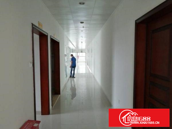 精装修五楼办公室，780平方，红本厂房