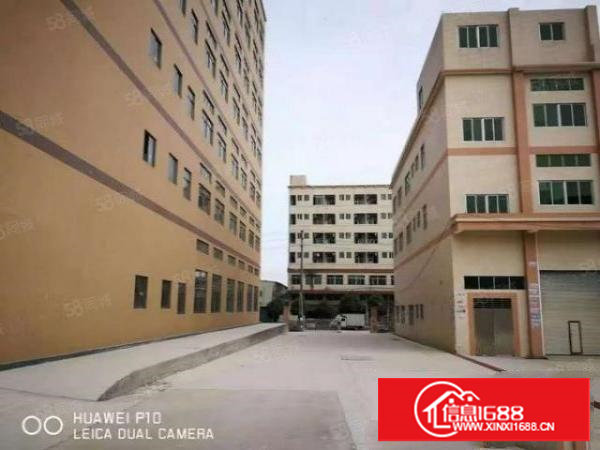 沙头楼上无尘车间厂房出租1000平方