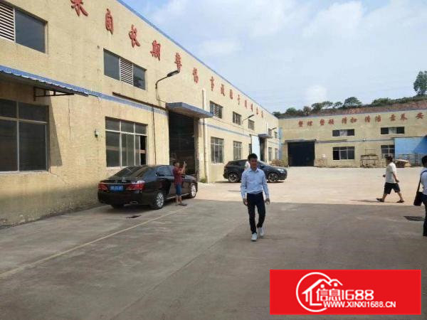 企石原房东形象漂亮钢构厂房出租4500平方米形象好