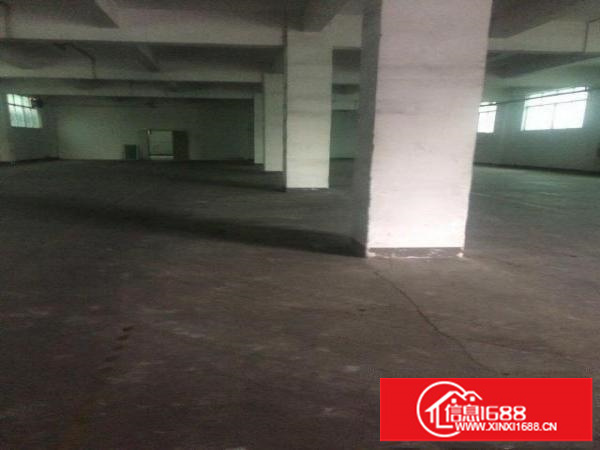 坂田杨美地铁站2000平方