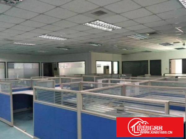 龙岗新出花园式厂房1800平方带精装修厂房