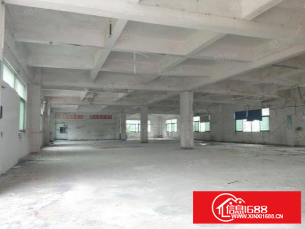 万江简沙洲工业区新出独门独院标准厂房4500平方