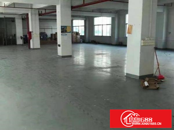 凤岗官井头带装修电子/电池厂房出租2300平方近大运城邦