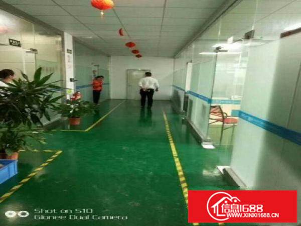 龙岗坪地1200平楼上带装修地坪漆无尘车间厂房出租