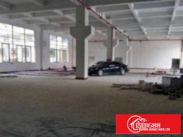 万江石美独院厂房分租1楼1800平方低价招租，带牛角