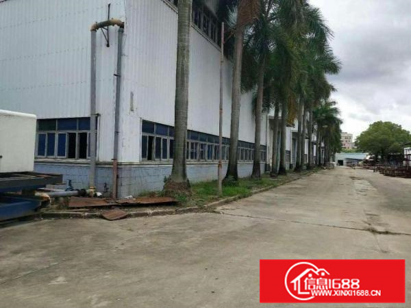 新圩南坑新出原房东滴水8米高钢构招租，可分租