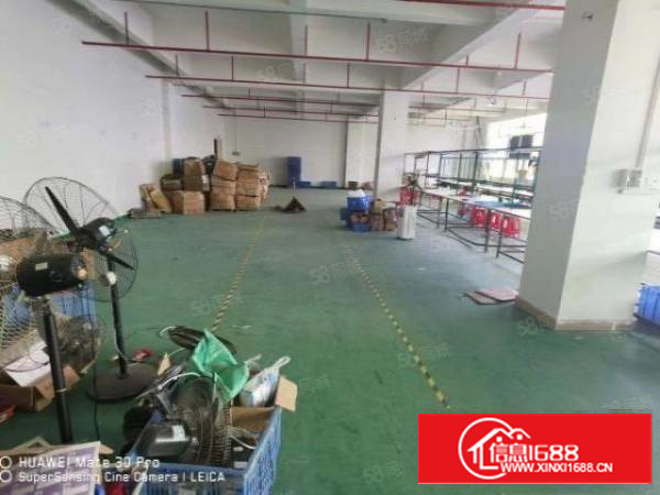 凤岗金凤凰楼上带装修拉线适合电子组装加工厂房出租