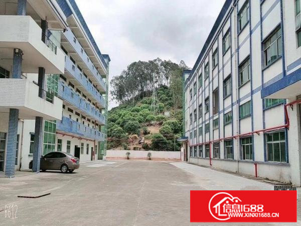 清溪三中村新出独院厂房3层7500平米出租可分租