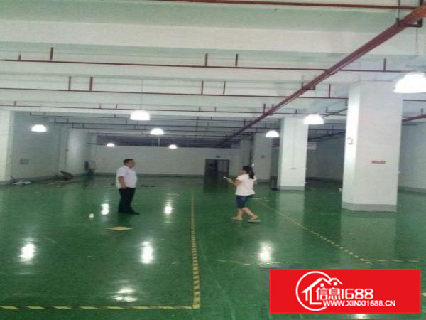 坂田30000平方厂房仓库招租