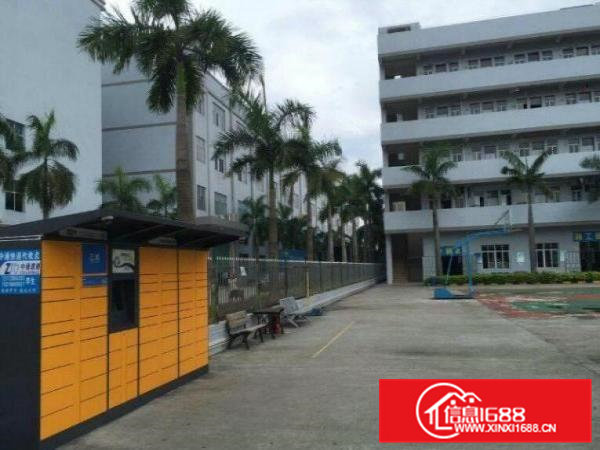 一手房东花园式独院厂房7800平方招租有独立办公楼水电到位