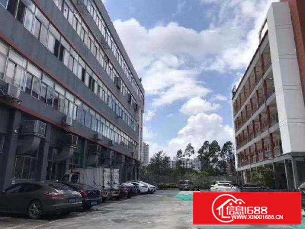 龙岗区坂田5和地铁口新出独门独院10500平精装厂房出租