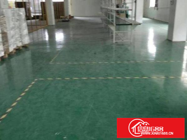 龙岗爱联新出原房东独门独院900平标准厂房招租