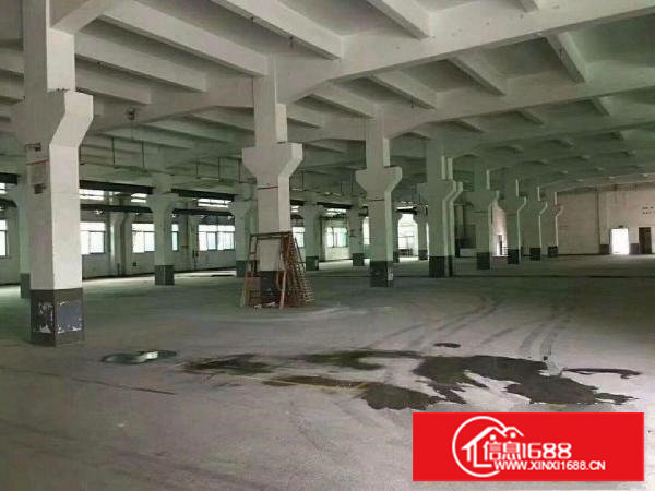 塘厦高速附近，单一层独院厂房：6000平方米，可任意分租