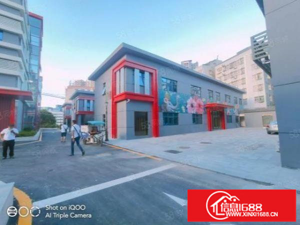 坂田天虹商场附近经典小独院3115平和1000平两栋