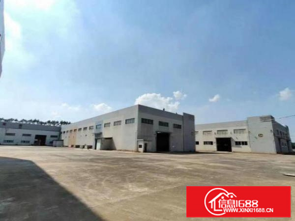 狮山新出花园式靓厂占地八万平方大小可分租