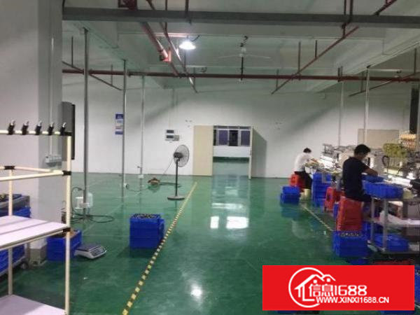 厂房出租：500平-800平、有消防喷淋、有电梯