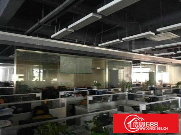 深圳龙岗精装修900平米仅10元厂房招租可分租