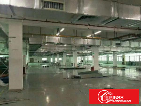 高埗花园式独院标准厂房10000平方出租可分租空地大工业用地