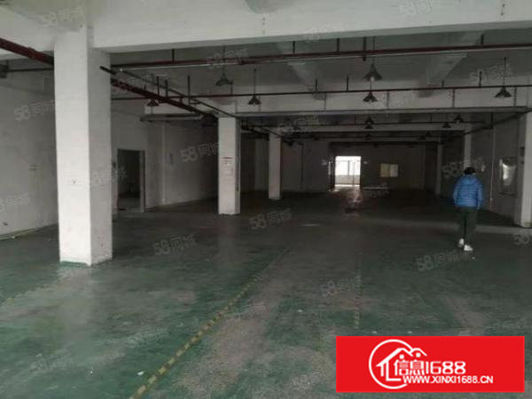 高埗冼沙厂房火爆招商中园区交通便利，标准独院，可办各类环评！