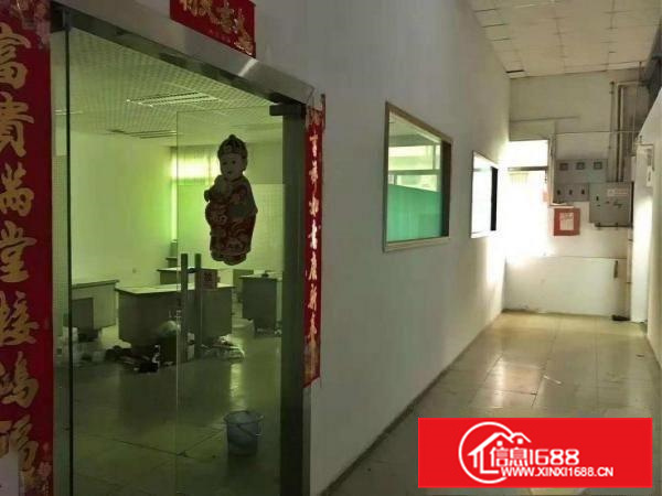 佛山狮山镇广云路边经典钢构小独院厂房2000平方