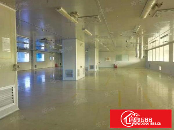 上市公司园区，花园式厂房，带无尘车间，有天然气，蒸汽管道