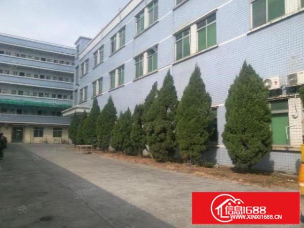 全新水电装修带地板漆二楼800平米租金8元