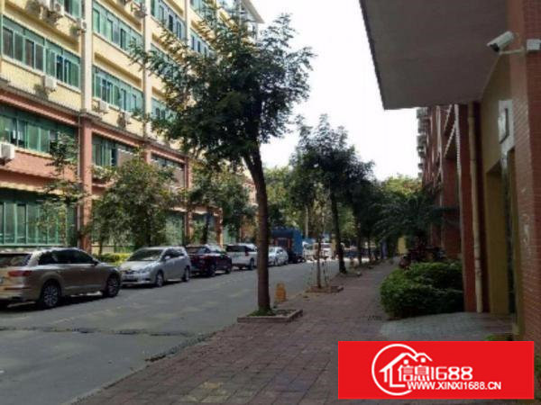 布吉丹竹头康桥300;500;700平米厂房带球场